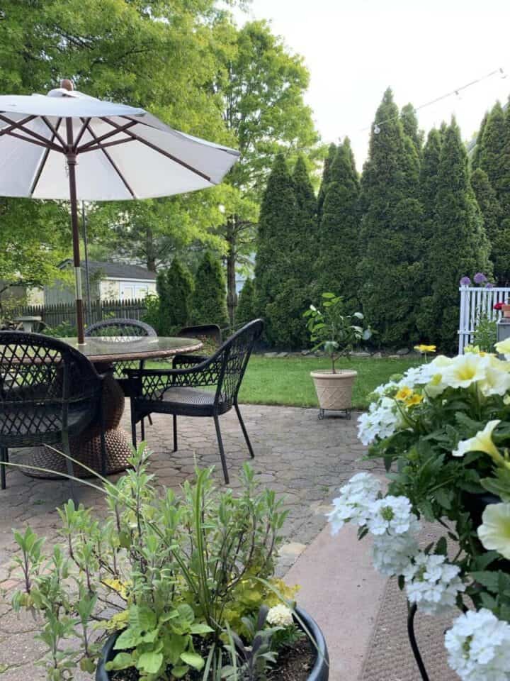 small backyard layout