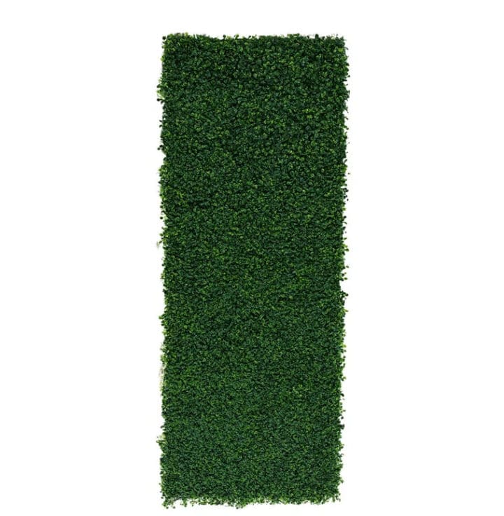 boxwood-hedge fake
