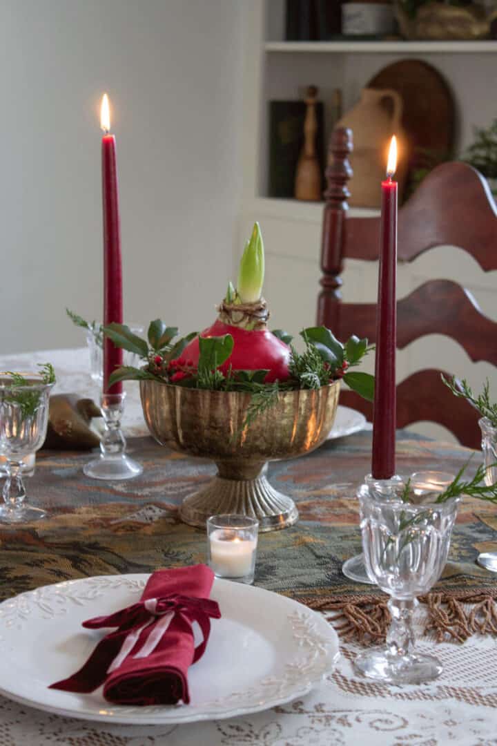 Christmas-amaryllis-centerpiece-idea-diy