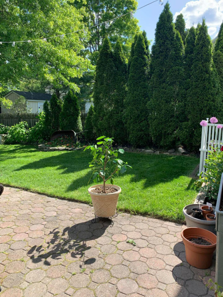 easy-garden-ideas-you-can-do-in-a-weekend-720x960-1 easy-garden-ideas-you-can-do-in-a-weekend