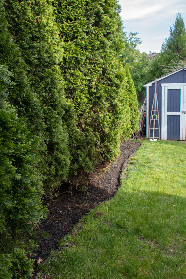 garden-edging-720x1080-1 garden-edging is an easy weekend gardening project