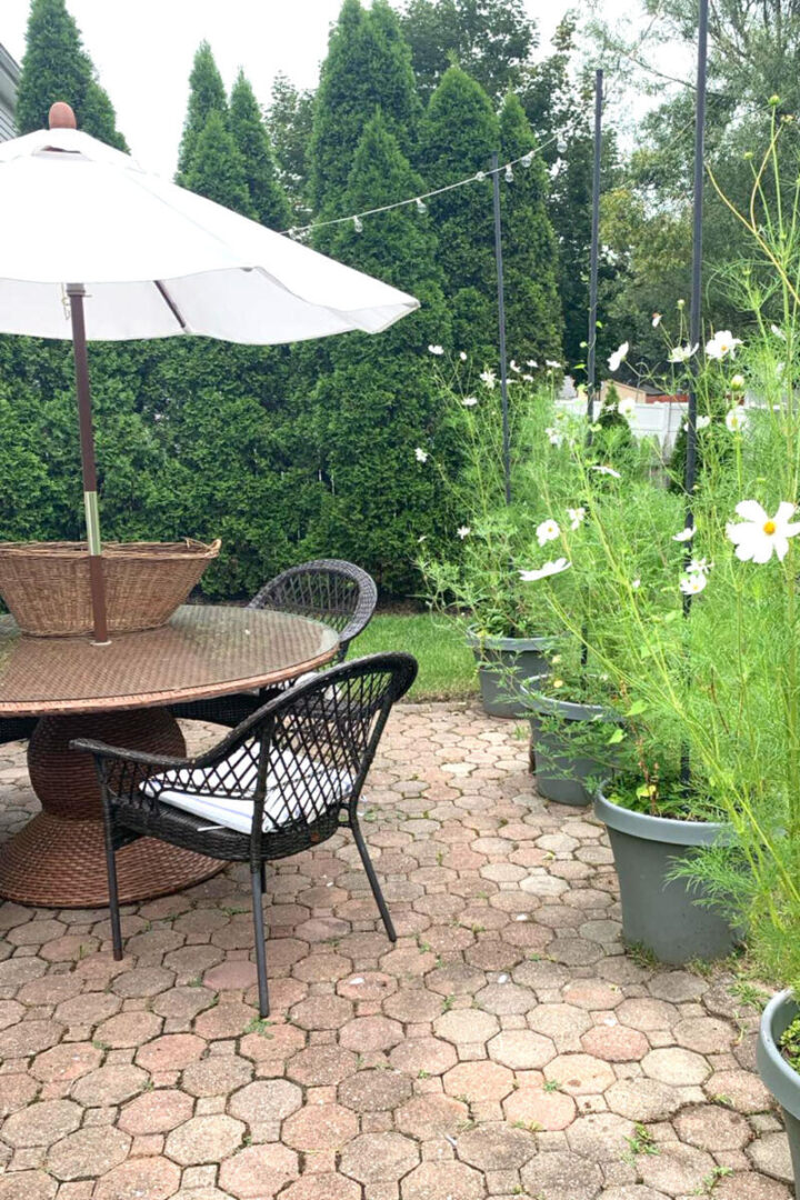 patio-with-string-lights-720x1080-1 patio-with-string-lights