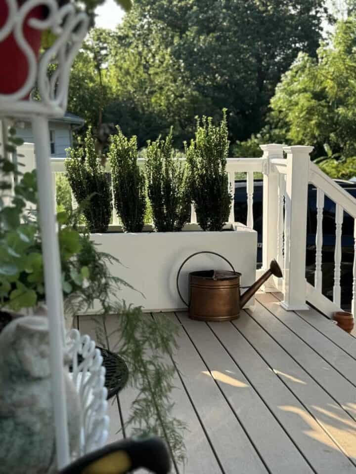 porch and deck privacy idea with evergreen shrubs