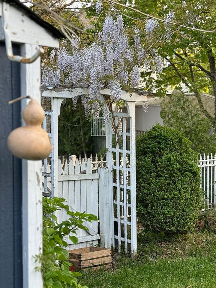 weekend-gardening-projects-720x960-1 weekend-gardening-projects garden arbor with wisteria