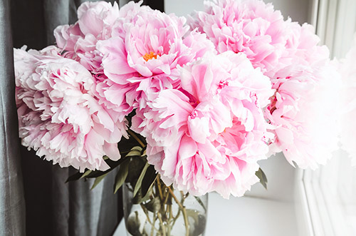 7 Daily Disciplines for Stay at Home Mom- Being a homemaker isn't easy. But if you follow these 7 daily disciplines for every homemaker, your days will become happier and more productive! | homemaking tips, how to be productive as a homemaker, #homemaking #stayAtHomeMom #sahm #productivity #ACultivatedNest 7 Daily Disciplines for Stay at Home Mom- Being a homemaker isn't easy. But if you follow these 7 daily disciplines for every homemaker, your days will become happier and more productive! | homemaking tips, how to be productive as a homemaker, #homemaking #stayAtHomeMom #sahm #productivity #ACultivatedNest