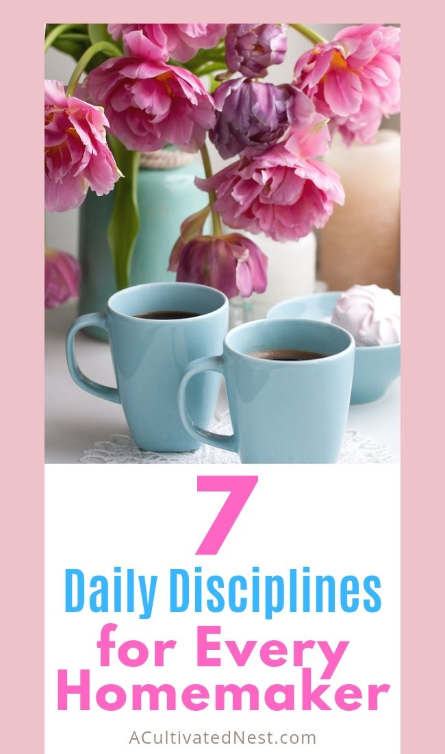 7 Daily Disciplines for Every Homemaker- It's not easy to be a homemaker. And it can be hard to plan out your days so that you're productive. But if you follow these 7 daily disciplines for every homemaker, your days will become happier and much more productive! | stay at home mom tips, how to be productive as a homemaker, #homemaking #homemakingTips #sahm #productivity #ACultivatedNest 7 Daily Disciplines for Every Homemaker- It's not easy to be a homemaker. And it can be hard to plan out your days so that you're productive. But if you follow these 7 daily disciplines for every homemaker, your days will become happier and much more productive! | stay at home mom tips, how to be productive as a homemaker, #homemaking #homemakingTips #sahm #productivity #ACultivatedNest