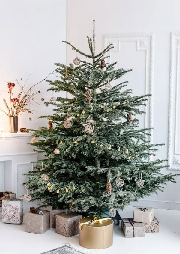 natural-real-Christmas-tree-ideas