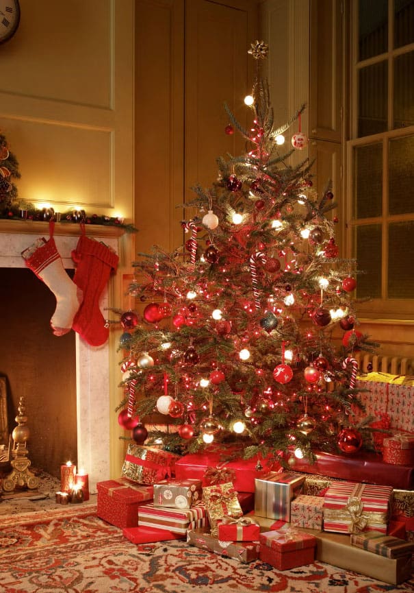 simple-Christmas-tree-with-red-lighting